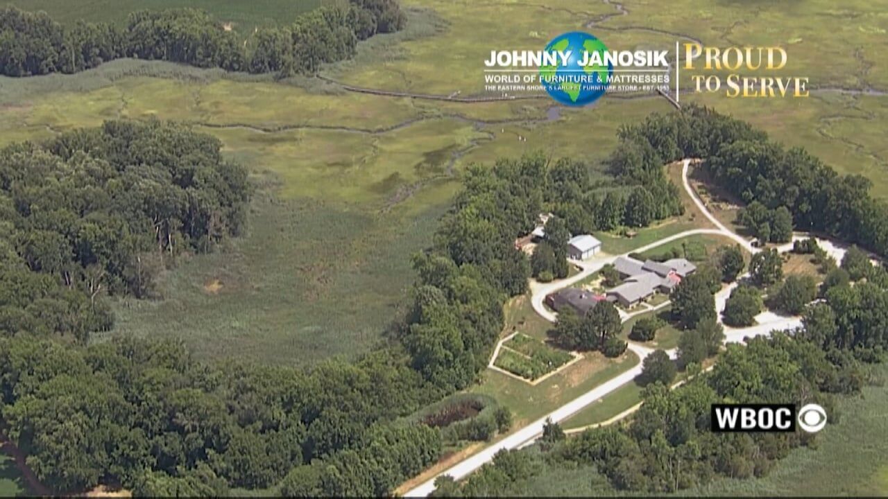 Proud to Serve: St. Jones Reserve